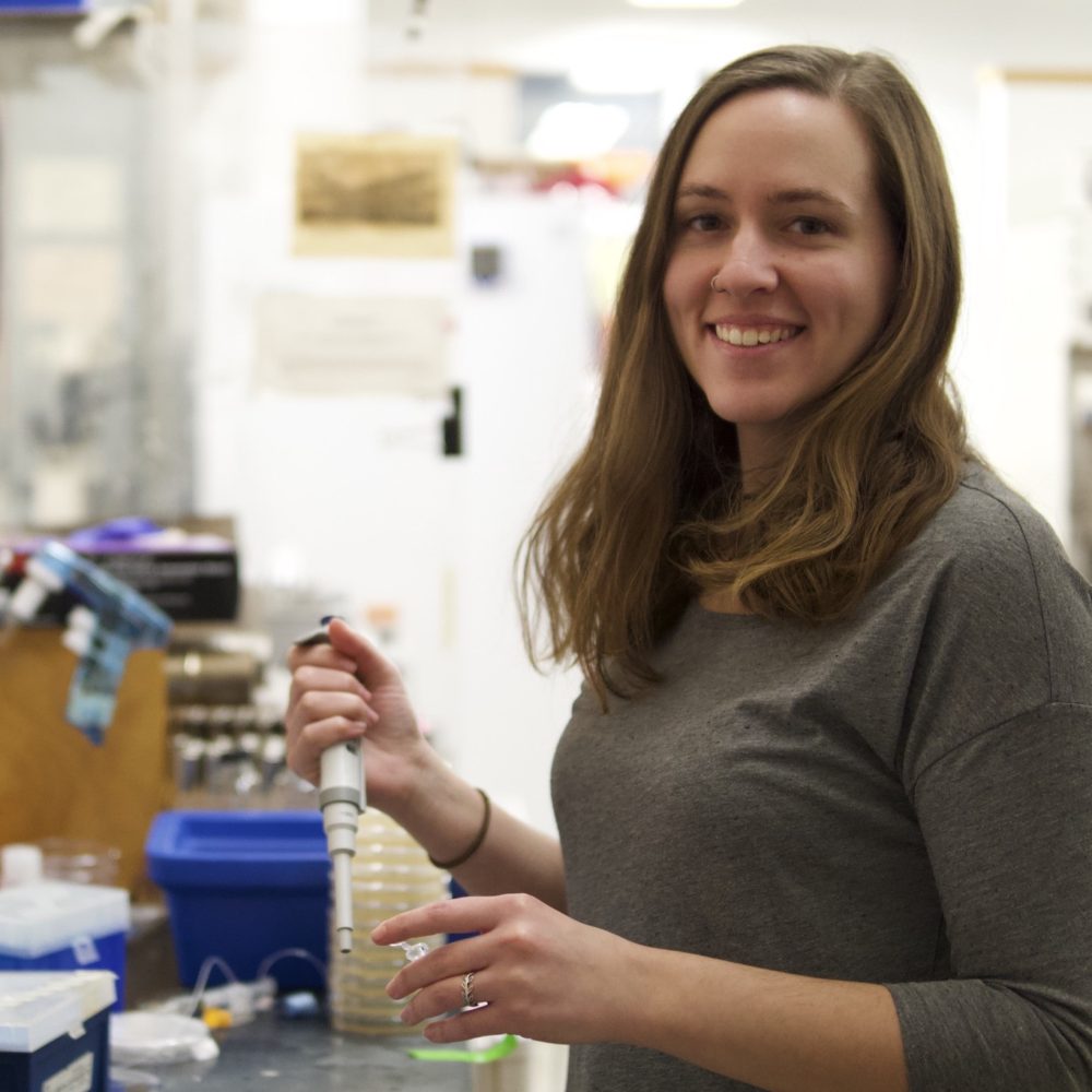 Courtney Ellison – Ellison Lab